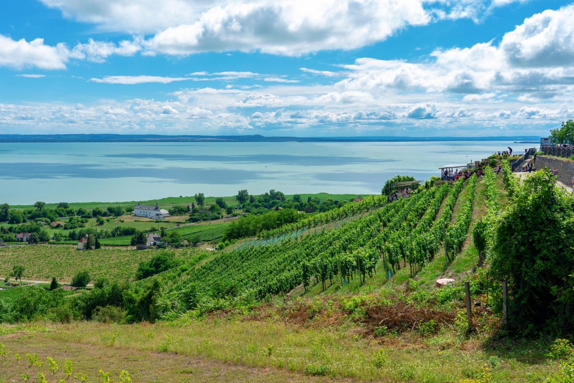 Lake Side Luxury Steps To The Lake Lela - Happy Rentals Balatonlelle Luaran gambar